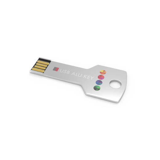 USB Key - De USB Key is een USB is de vorm van een sleutel en beschikt over voldoende geheugen voor al uw belangrijke bestanden.